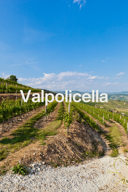 Wine Tasting Box "Valpolicella"