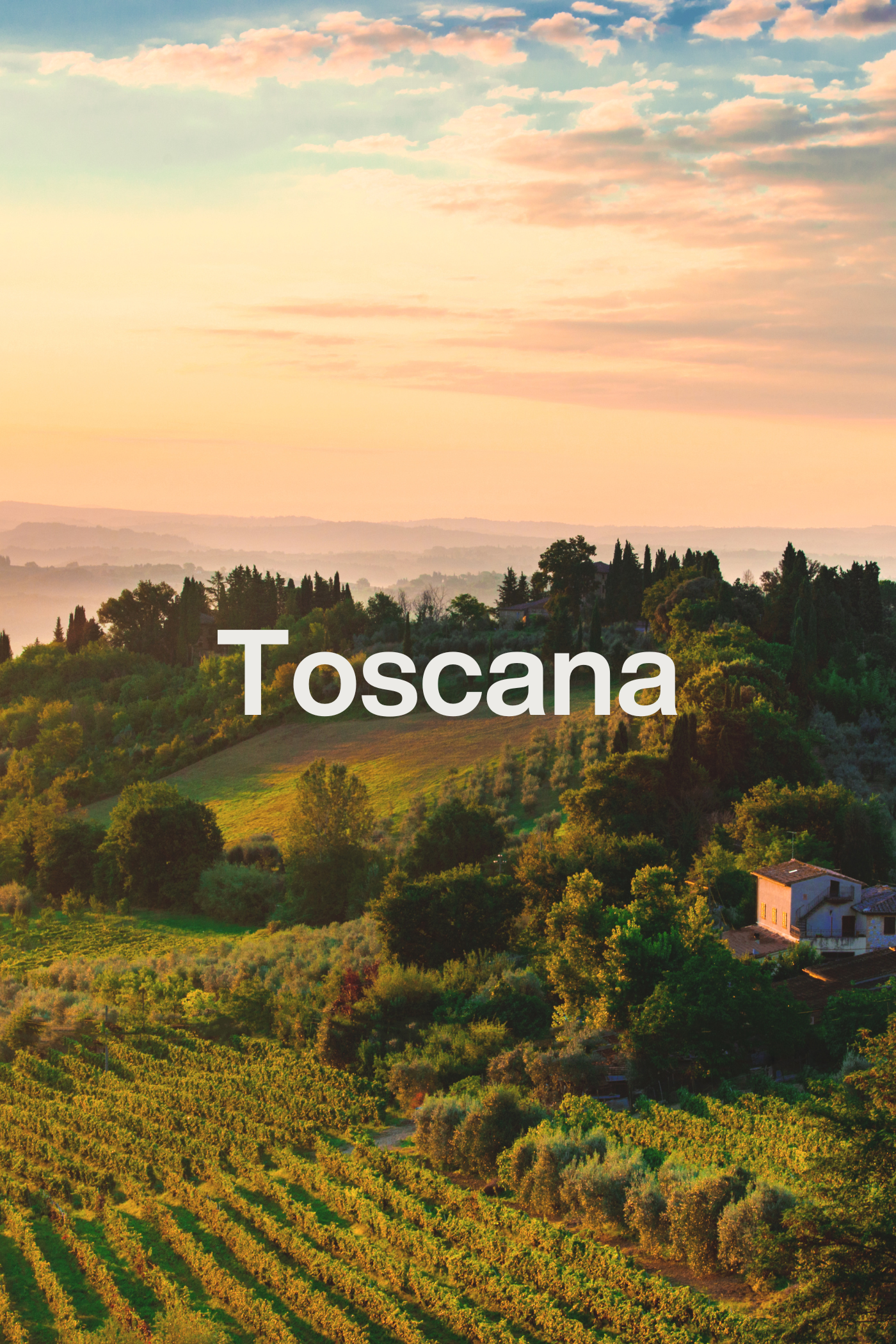 Wine Tasting Box "Central Toscana"